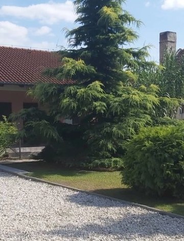 Apartmány Lakó – fotografia 1