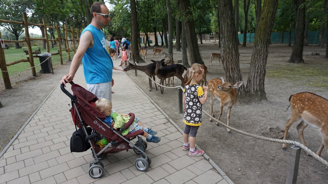 Zoo Jána Xantusa – Győr