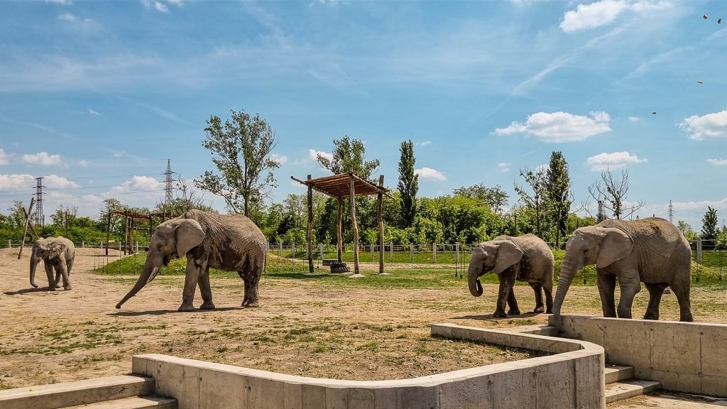Zoo Jána Xantusa – Győr, fotografia 2